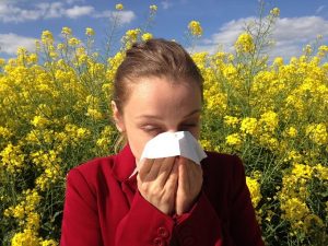 花粉アレルギー